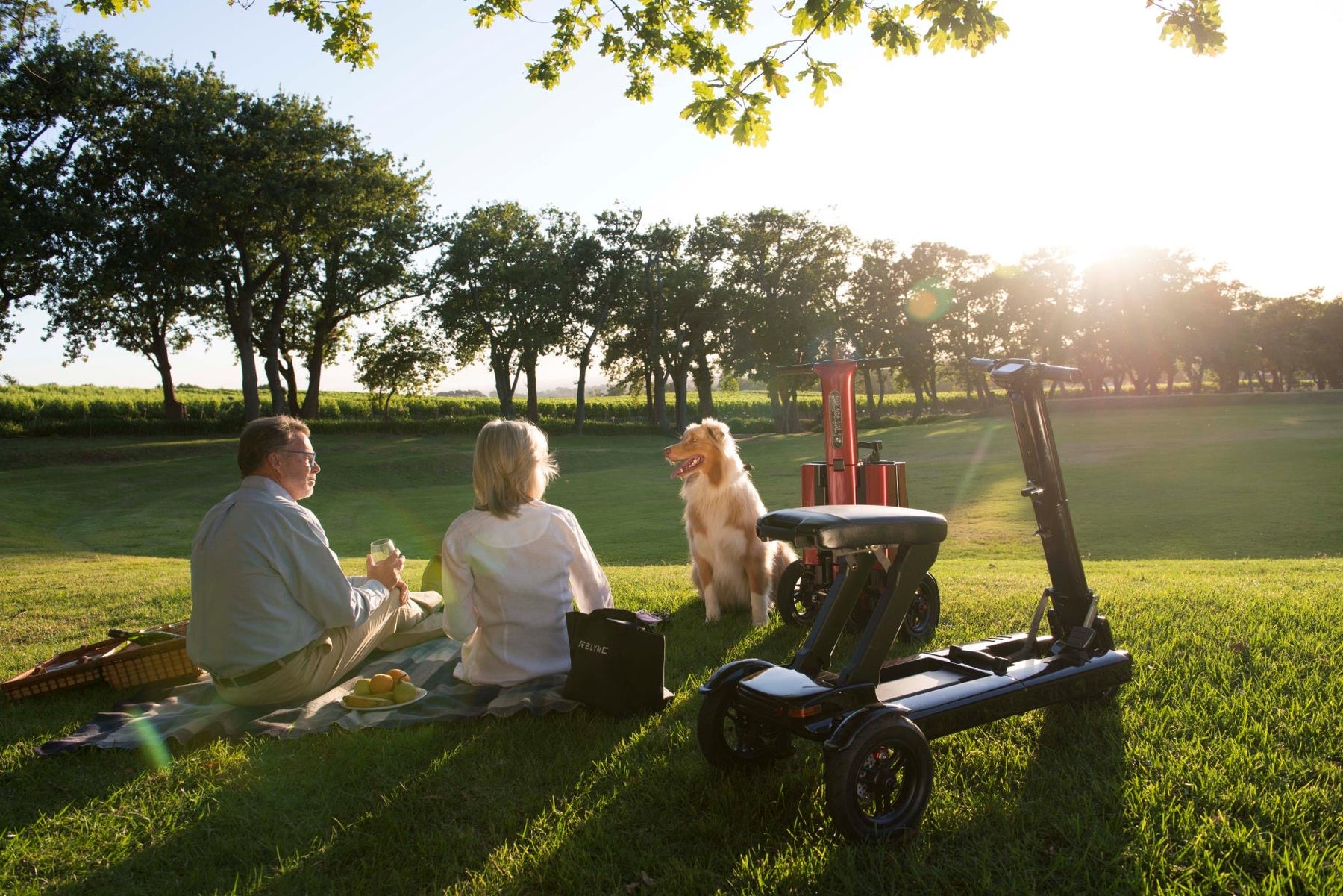 Relync Foldable 3 Wheel Mobility & Travel Scooter