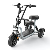 Three Wheel Dual Seat Luxury Mobility Scooter