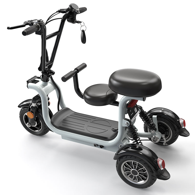 Three Wheel Dual Seat Luxury Mobility Scooter