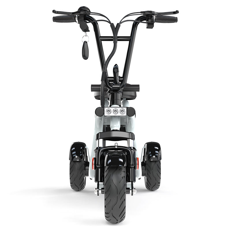 Three Wheel Dual Seat Luxury Mobility Scooter