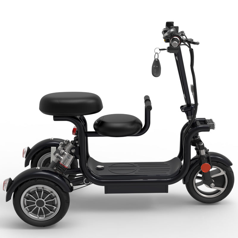 Three Wheel Dual Seat Luxury Mobility Scooter