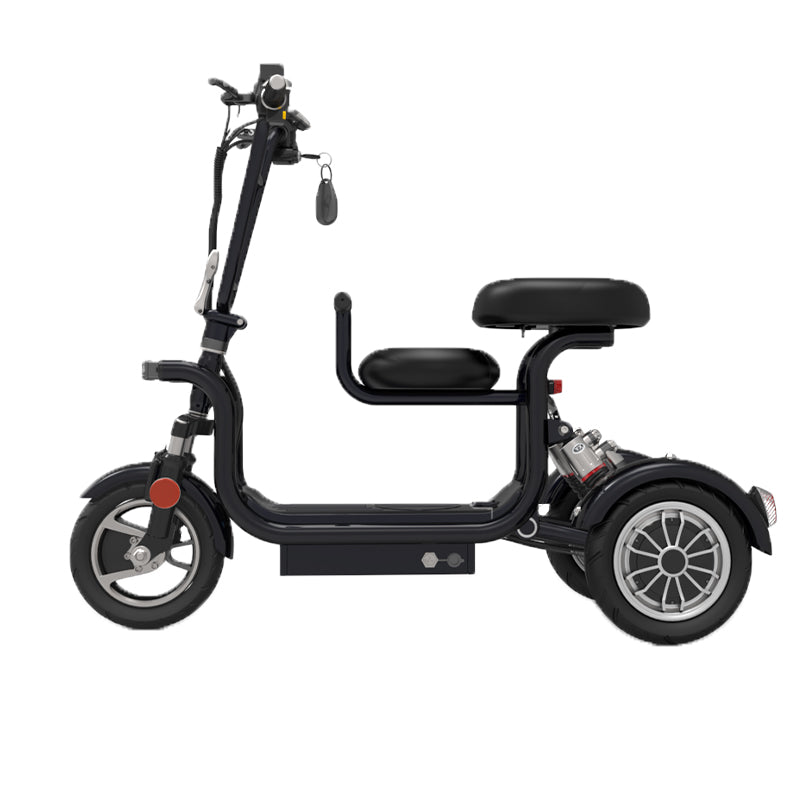 Three Wheel Dual Seat Luxury Mobility Scooter