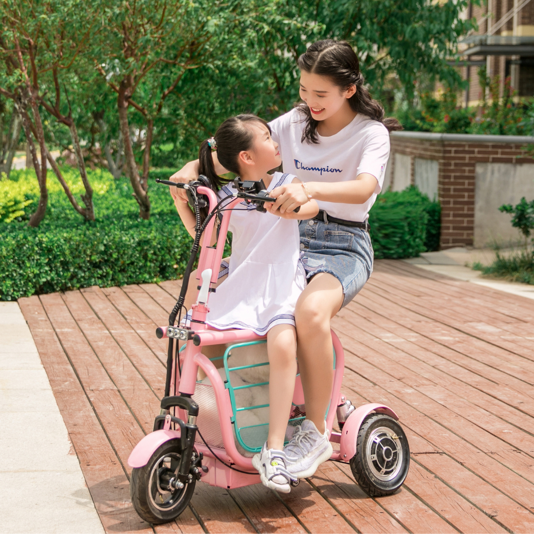 Mopet Three Wheel Pet Carrier Mobility Scooter W/ Kids Handle