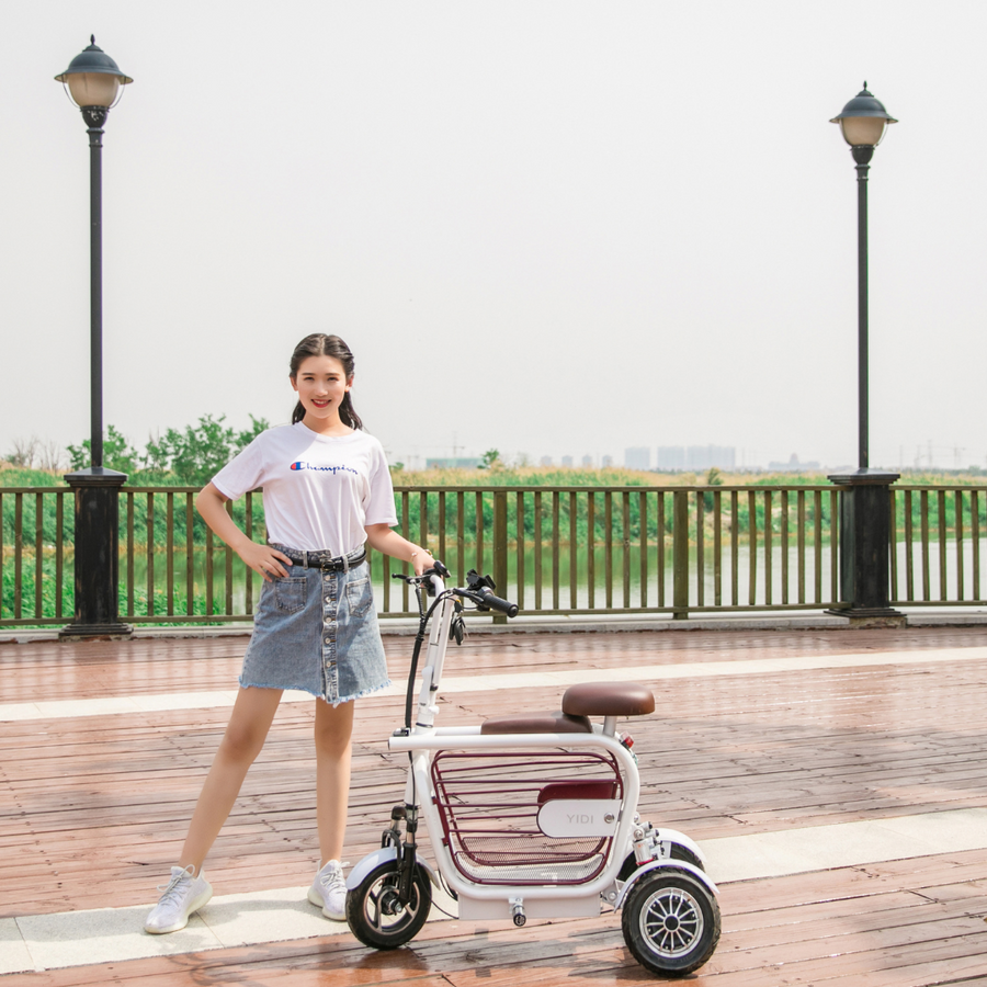 Mopet Three Wheel Pet Carrier Mobility Scooter W/ Kids Handle Home