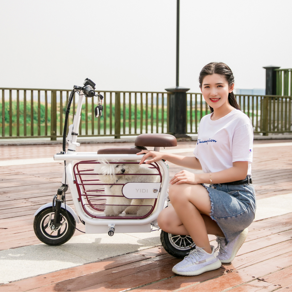 Mopet Three Wheel Pet Carrier Mobility Scooter W/ Kids Handle Home