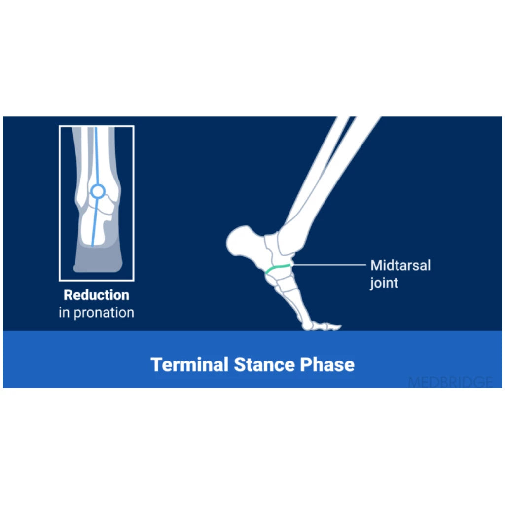 Advanced Ankle and Foot Rehabilitation