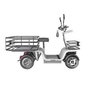 Four Wheel Sports Carrier Scooter